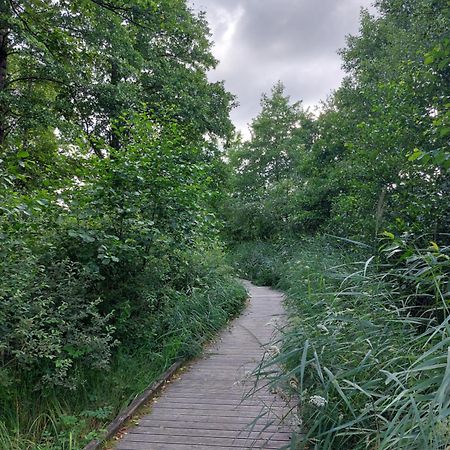 Jiyara F3 Proche Centre Ville Belfort Zewnętrze zdjęcie